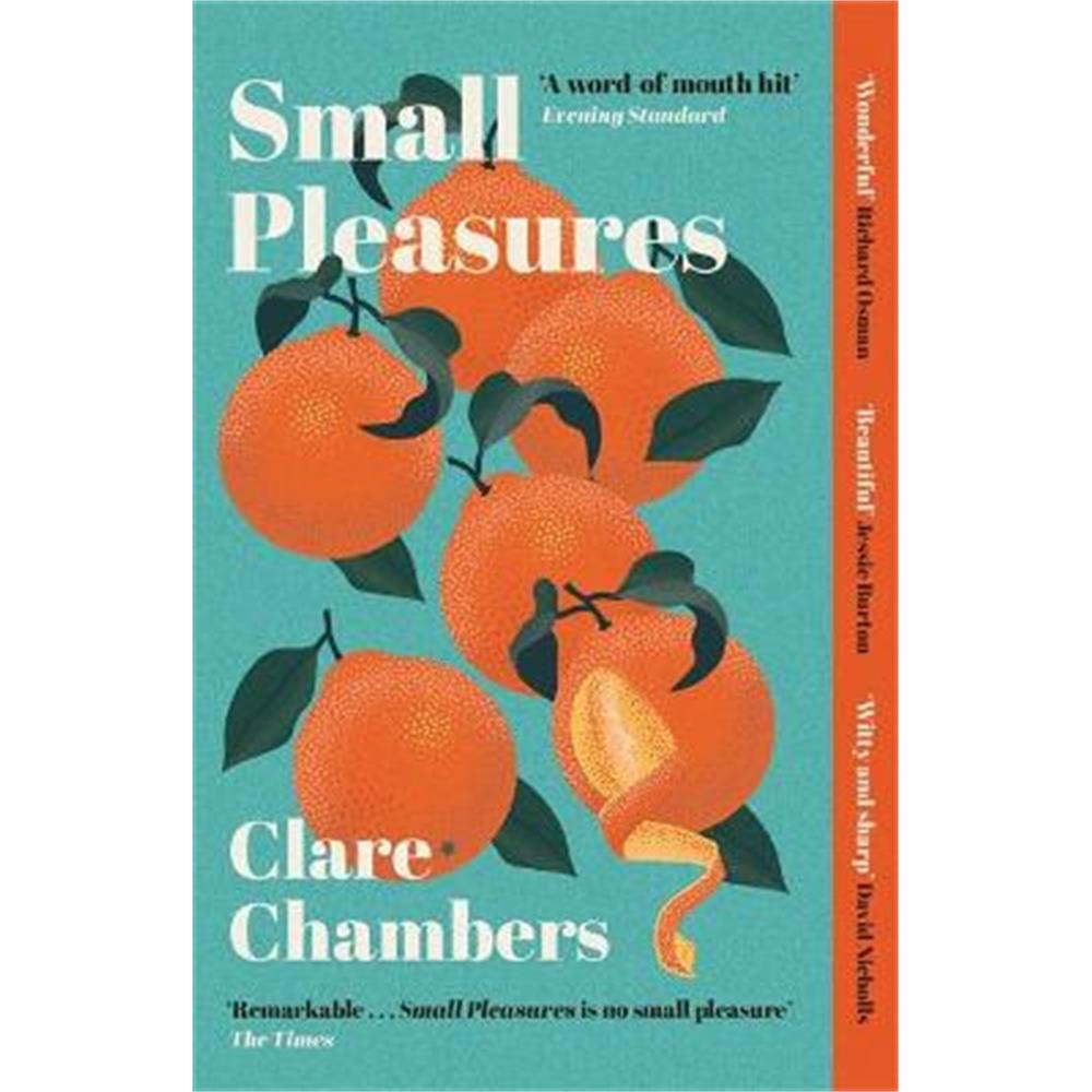 Small Pleasures By Clare Chambers